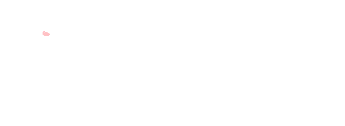 mGBV — Customer Support System